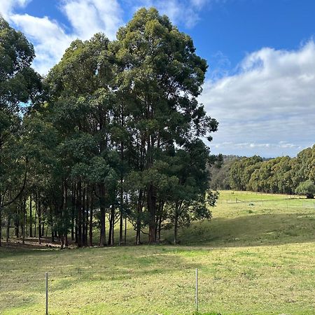 Blueberry Hills On Comleroy Farmstay - Self-Contained Cottages Kurrajong Exteriér fotografie