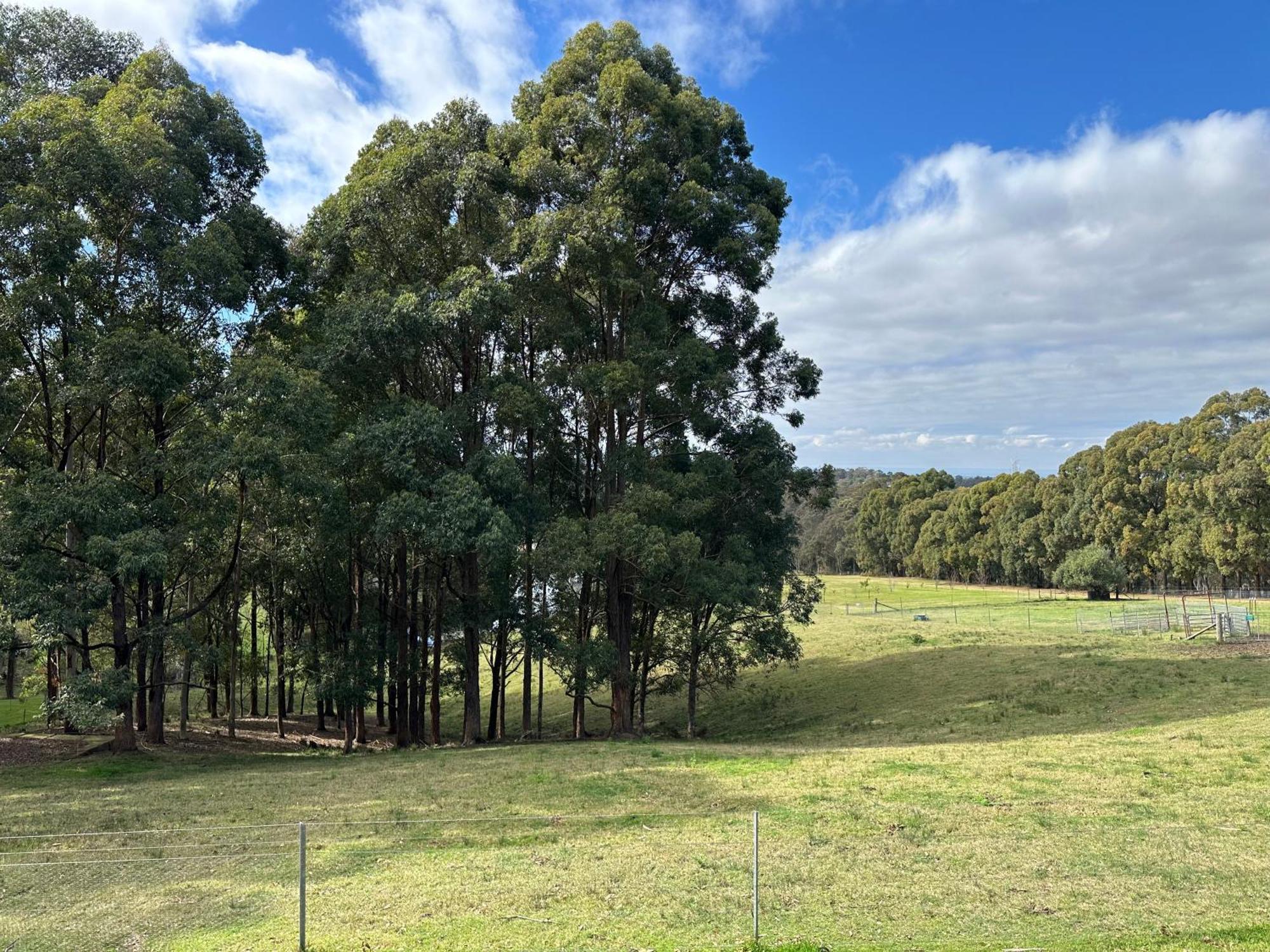 Blueberry Hills On Comleroy Farmstay - Self-Contained Cottages Kurrajong Exteriér fotografie