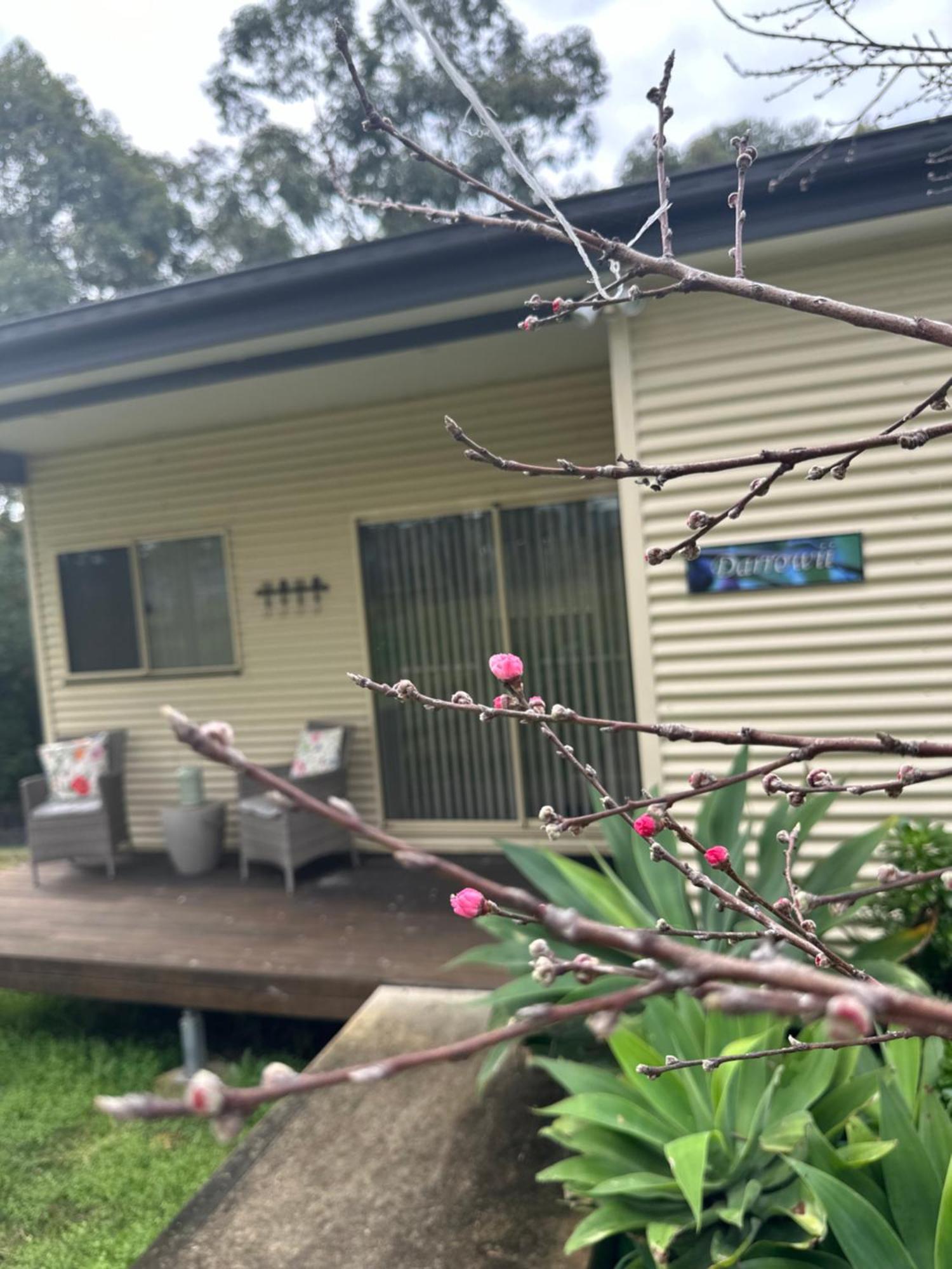 Blueberry Hills On Comleroy Farmstay - Self-Contained Cottages Kurrajong Exteriér fotografie