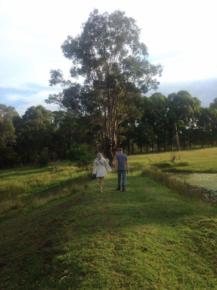 Blueberry Hills On Comleroy Farmstay - Self-Contained Cottages Kurrajong Exteriér fotografie