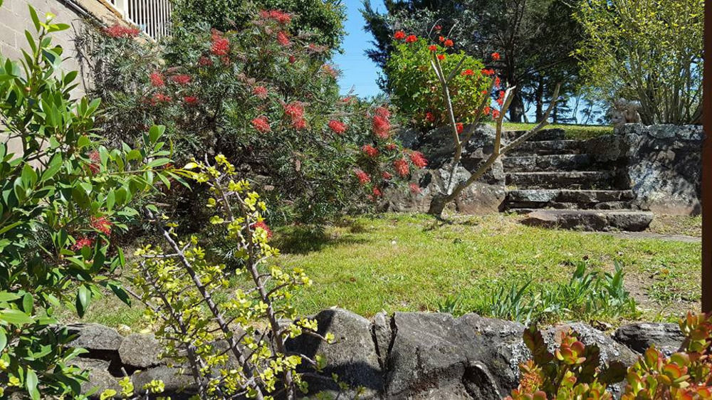 Blueberry Hills On Comleroy Farmstay - Self-Contained Cottages Kurrajong Exteriér fotografie