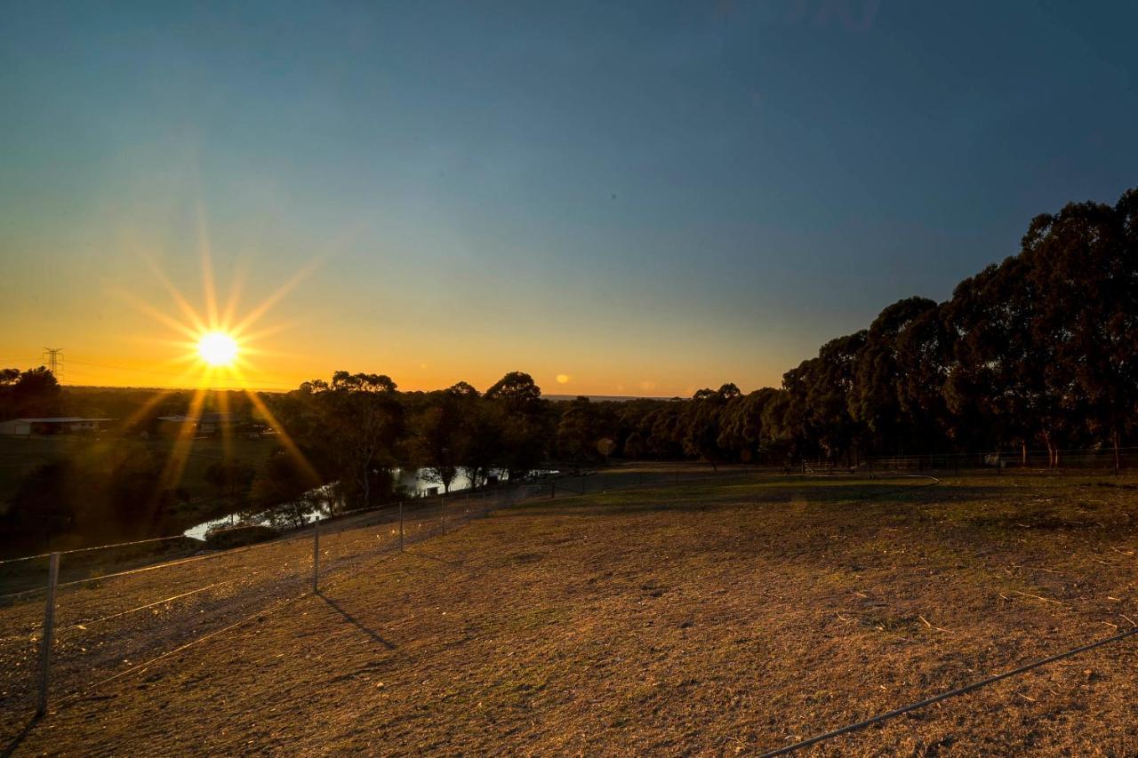 Blueberry Hills On Comleroy Farmstay - Self-Contained Cottages Kurrajong Exteriér fotografie