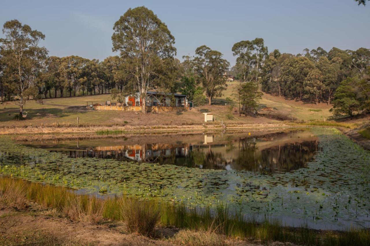 Blueberry Hills On Comleroy Farmstay - Self-Contained Cottages Kurrajong Exteriér fotografie