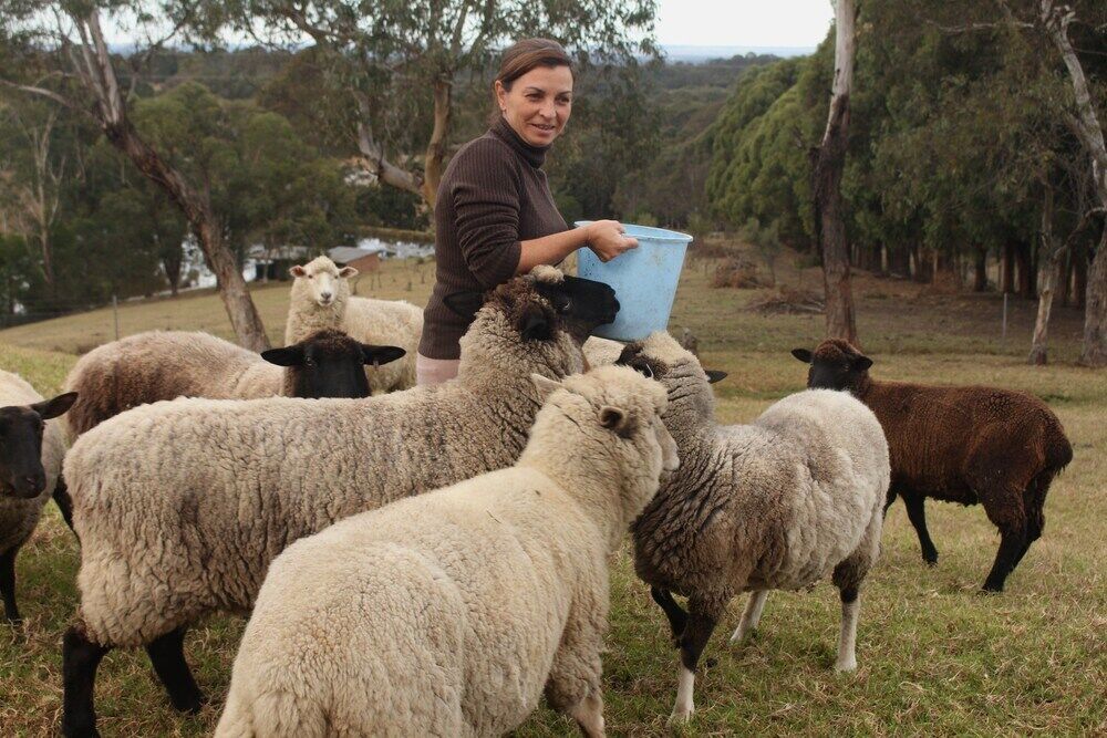 Blueberry Hills On Comleroy Farmstay - Self-Contained Cottages Kurrajong Exteriér fotografie